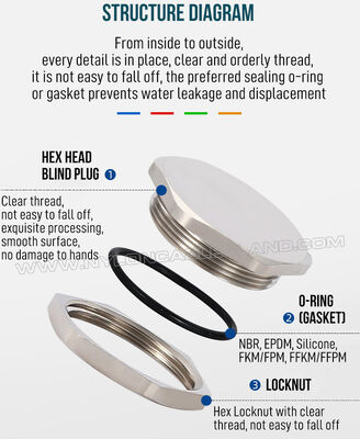 Nickel-Plated Brass Metal Blind Plug IP68 c/w Locknut & O-ring, Hex or Round, PG7-PG48, for Sealing Control Boxes