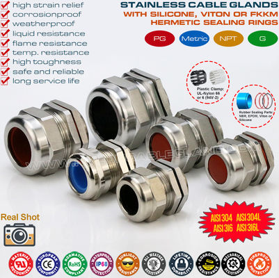 ফ্লুরোরাবার সিল সহ স্টেইনলেস স্টীল SS304 / SS316 / SS316L (IP68) এ PG জলরোধী তারের গ্রন্থি ক্যাবল গ্ল্যান্ড সংযোগকারী
